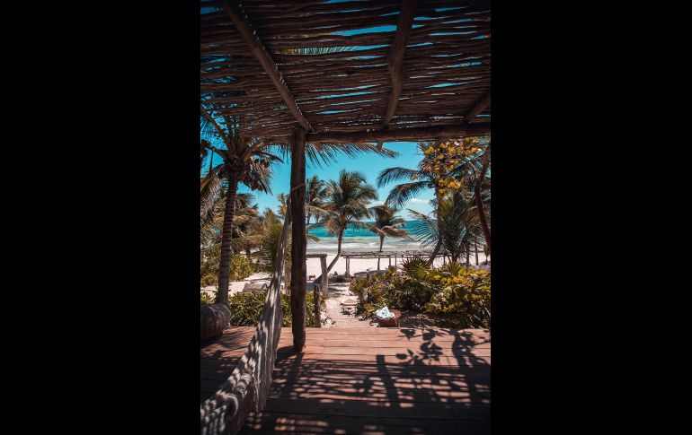 Photo by Roberto Nickson on Unsplash