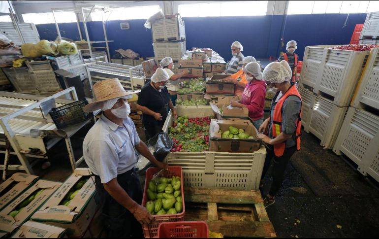 La estrategia se reforzará en los 13 municipios de Jalisco con mayor carencia alimentaria. EL INFORMADOR/ARCHIVO