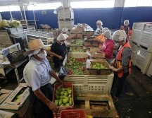 La estrategia se reforzará en los 13 municipios de Jalisco con mayor carencia alimentaria. EL INFORMADOR/ARCHIVO