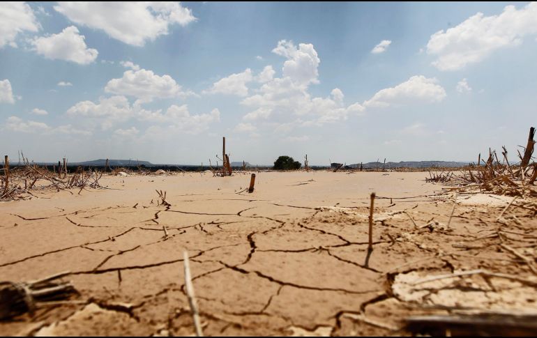 La Conagua informa que 639 municipios de México se reportan con sequía y en 820 continúan anormalmente secos. EL INFORMADOR/ARCHIVO