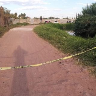 Yucatán: Ajustan a ocho los cuerpos abandonados en Chiquindzonot