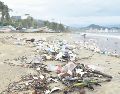 La cantidad de desechos plásticos va en aumento en todas las playas del mundo. EFE/Archivo