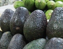 Autoridades reiteraron que el envío de aguacate no se ha cancelado, y estaría llegando para el inicio de la temporada de futbol americano. NTX / ARCHIVO