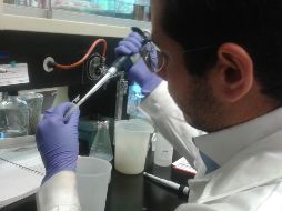 La investigación identifica los niveles de una proteína llamada Helios como un nuevo marcador de la enfermedad y propone nuevos criterios útiles para la identificación de pacientes presintomáticos y enfermos de lupus. NTX / ARCHIVO