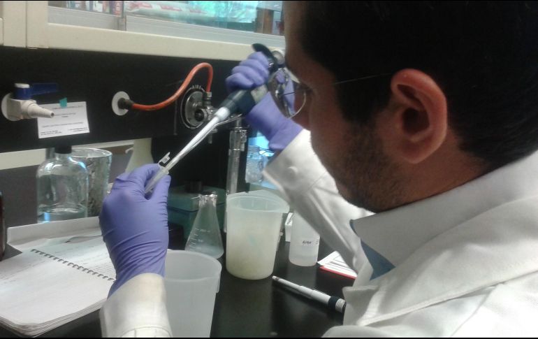 La investigación identifica los niveles de una proteína llamada Helios como un nuevo marcador de la enfermedad y propone nuevos criterios útiles para la identificación de pacientes presintomáticos y enfermos de lupus. NTX / ARCHIVO