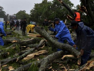 Las autoridades nicaragüenses, que realizaron evacuaciones y suspendieron los zarpes, reportaron la caída de árboles a causa de los vientos de 65 kilómetros por hora de Bonnie. EFE / J. Torres