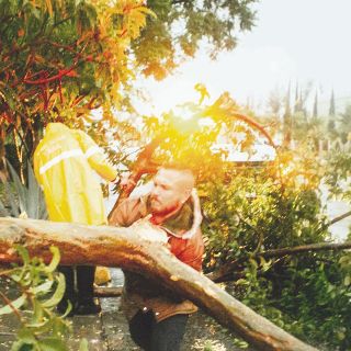 Municipios retiran árboles riesgosos en la metrópoli ante las lluvias