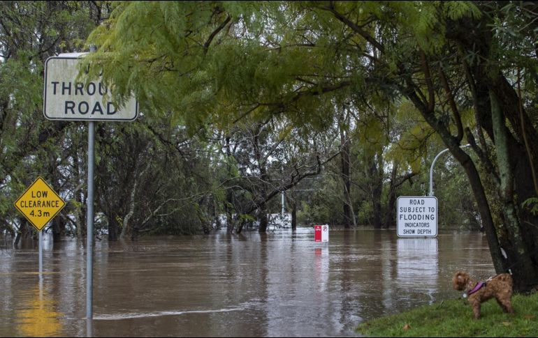 Vista general de un área inundada en Windsor, Nueva Gales del Sur, Australia. XINHUA/B. Xuefei