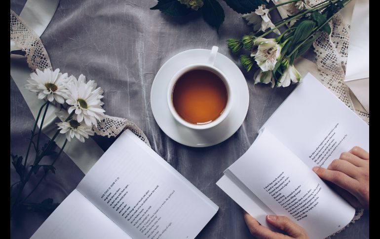 Libros recomendados: 