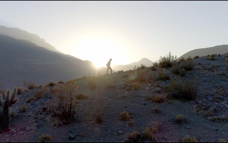 Sergio Larraín tuvo fama mundial, deslumbró con su talento al mundo entero; sus fotografías han sido colgadas en los prestigiosos muros del Centre Pompidou en París, el Tate Modern de Londres, o el MoMA en Nueva York. CORTESÍA