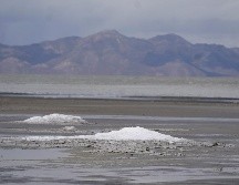 La reducción del lago amenaza a varias especies de aves migratorias que hacen escala en él, y no se descartan repercusiones sanitarias para los pobladores. AP/R. Bowmer