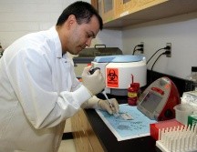 Existe a nivel internacional un aumento de casos considerable. EL INFORMADOR/ Archivo