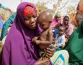Más de 755 mil personas se han desplazado este año dentro de Somalia a causa de la grave sequía que afecta al Cuerno de África. AP / ARCHIVO