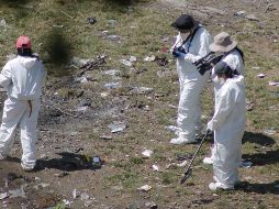 Ayer martes se informó sobre el hallazgo de restos humanos dentro de la cajuela de un auto, en el municipio de Mazamitla. EFE/ ARCHIVO