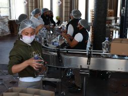 En mayo de 2020 había en Jalisco 1.7 millones de empleados registrados en el IMSS, actualmente hay más de 1.8 millones. EL INFORMADOR/A. Camacho