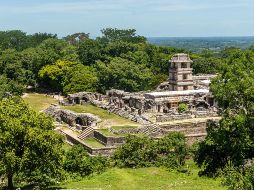 Palenque, Chiapas. ESPECIAL/Photo by Crisoforo Gaspar Hernández on Unsplash.