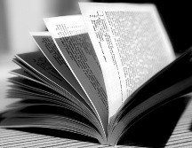 Este año, el jurado del Premio Nacional de Poesía estuvo integrado por Xitlálitl Rodríguez, Carmen Villoro y Luis Felipe Fabre, quienes revisaron 221 propuestas de entre las que resultó ganador Juan Antonio Alfaro. Pixabay