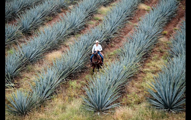 Photo by David García Sandoval on Unsplash