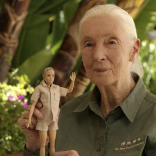 Barbie: Mattel lanza muñeca especial de 'Jane Goodall' hecha de plástico rescatado del océano