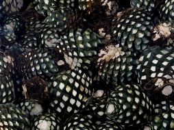 Además del tequila, hay otros productos de Jalisco que se pueden exportar a Canadá como la raicilla, equipales, vestido y calzado, muebles entre otros. AFP / ARCHIVO