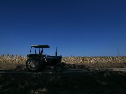 Entre las condiciones de Rusia está controlar y registrar los navíos de carga para evitar el contrabando de armas. AFP/P. Cruciatti