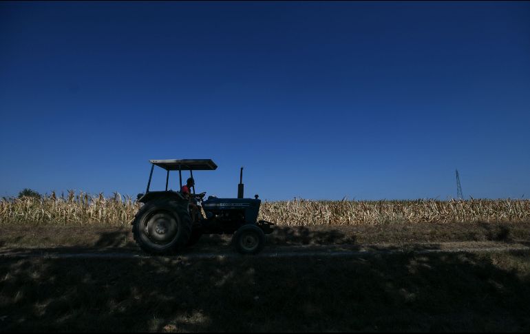 Entre las condiciones de Rusia está controlar y registrar los navíos de carga para evitar el contrabando de armas. AFP/P. Cruciatti