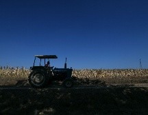 Entre las condiciones de Rusia está controlar y registrar los navíos de carga para evitar el contrabando de armas. AFP/P. Cruciatti