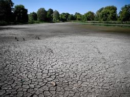 Botes, veleros y lanchas posan sobre el fondo del lago, generando una imagen surreal en medio del desierto. EFE/Z. Czegledi