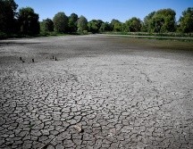 Botes, veleros y lanchas posan sobre el fondo del lago, generando una imagen surreal en medio del desierto. EFE/Z. Czegledi