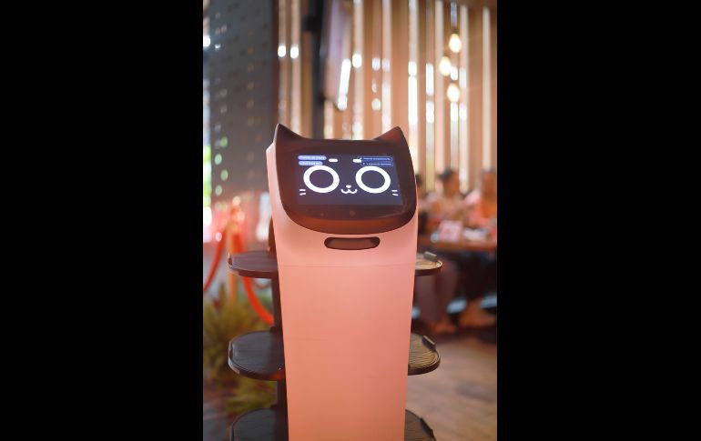 Rita Robot. GENTE BIEN JALISCO/Antonio Martínez