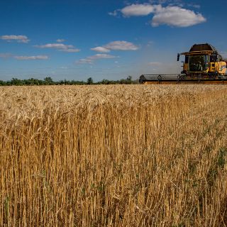 Rusia anuncia pronta culminación de documento sobre exportaciones de granos de Ucrania