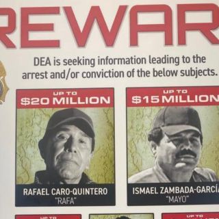 Caro Quintero: ¿Cuál es la recompensa que ofrecía la DEA por el capo?