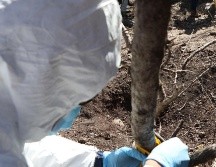 La Fiscalía del Estado acordonó la zona, junto con otras áreas cercanas. EFE/ARCHIVO