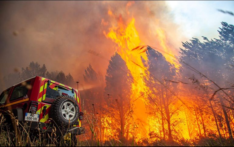 Dos incendios han destruido al menos nueve mil 650 hectáreas de bosques en los últimos días. EFE
