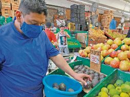 El aguacate es uno de los productos que más ha resentido el alza de precios en el país. EL INFORMADOR/Archivo