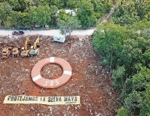 Greenpeace denunció que las obras se retomaron sin tener una resolución de un juez  federal que atiende el caso. EFE