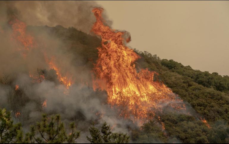 Europa está atravesando una ola de calor histórica. EFE/ARCHIVO