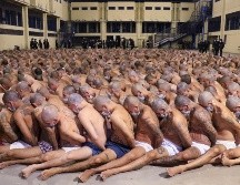 Resaltan que la captura de pandilleros ha logrado reducir los índices de homicidios, extorsiones, tenencia de armas y drogas. AP/ARCHIVO