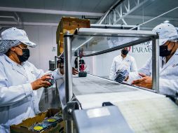 Las diversas actividades industriales sufrieron bajaron su nivel de productividad  en todo el país. ESPECIAL