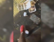 El extraño video de Six Flags México se publicó la noche de este martes. INSTAGRAM / @sixfkagsmexico