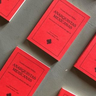 Las mujeres libertarias mexicanas del Partido Liberal Mexicano salen a la luz