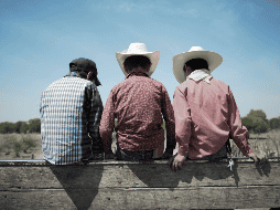 “Temporada de campo” se estrena el  4 de agosto. CORTESÍA