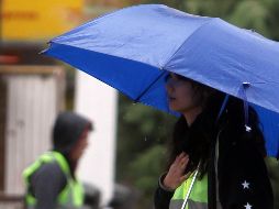 Se vigila una zona de baja presión en el Océano Pacífico con 10 por ciento de probabilidad para desarrollar un ciclón tropical en 48 horas. EL INFORMADOR / ARCHIVO