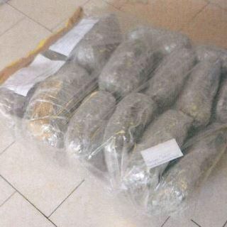 FGR: Procesan a hombre que llevaba más de 15 kilos de mariguana en Zapopan