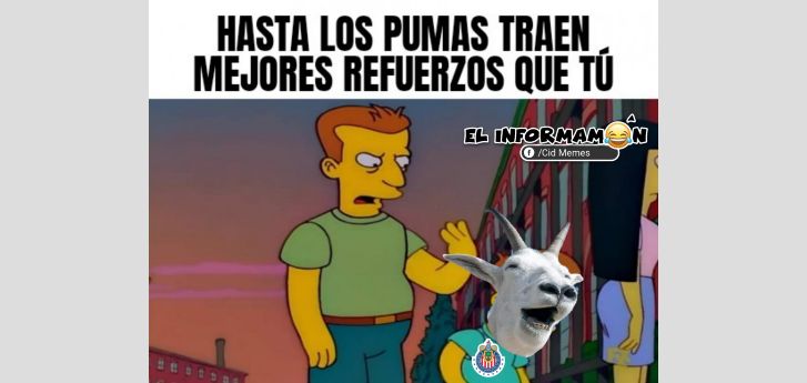 Hasta los Pumas