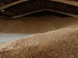 Kiev y Moscú firmaron dos textos idénticos, pero separados, a petición de Ucrania, que se negó a rubricar ningún documento con Rusia. AFP / ARCHIVO