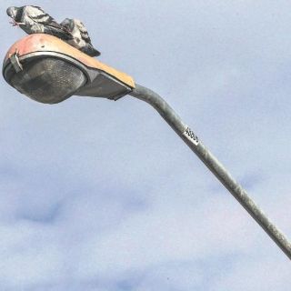 Va Guadalajara por 13 mil puntos de iluminación peatonal