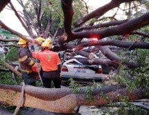 La tormenta estuvo acompañada por vientos fuertes y caída de granizo. ESPECIAL