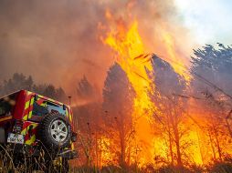 Altas temperaturas no ceden en varias regiones de Europa, incluida gran parte territorial de España. EFE/ Archivo