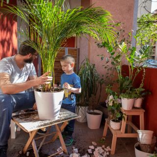 Tips de jardinería que te convertirán en 'la señora de las plantas'